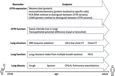 Current landscape of cystic fibrosis gene therapy